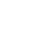 BlueShark-Frame